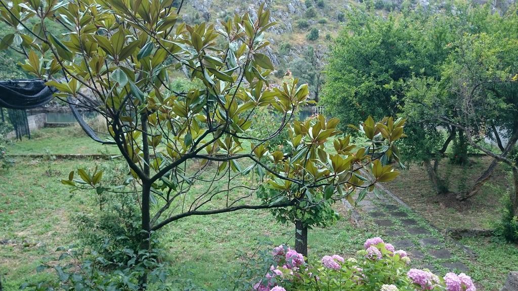 Villa San Blagaj Bagian luar foto